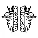 Ørn thumbnail